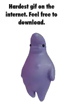 a purple dolphin with the words " hardest gif on the internet feel free to download "