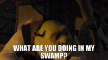 Shrek What Are You Doing In My Swamp GIF - Shrek What Are You Doing In My Swamp Swamp GIFs