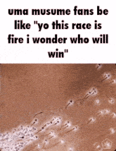 uma musume fans be like yo this race is fire i wonder who will win '