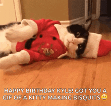 Christmas Birthday GIF - Christmas Birthday Cat GIFs