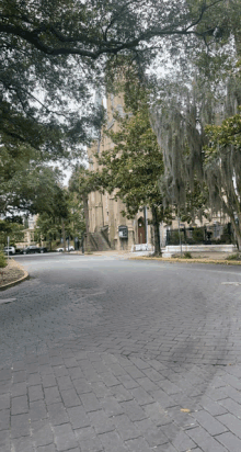 spanish moss is hanging from a tree in front of a church