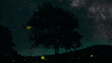 a tree silhouetted against a starry night sky with fireflies in the foreground