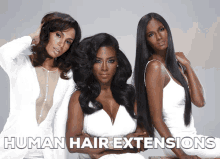 Human Hair Extensions Human Hair Loc Extensions GIF