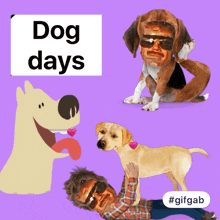 Dogdays Animateddogs GIF - Dogdays Animateddogs Cutepuppy GIFs