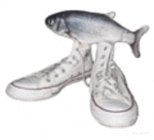 a pair of white sneakers with a fish on them