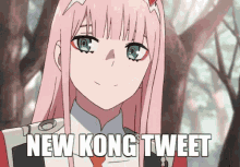 New Tweet Kong GIF - New Tweet Kong Kong Tweet GIFs