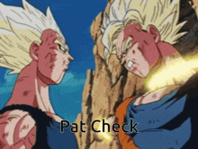 a picture of two cartoon characters with pat check written on it
