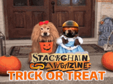 Stackchain Halloween GIF - Stackchain Halloween Stackchainmag GIFs