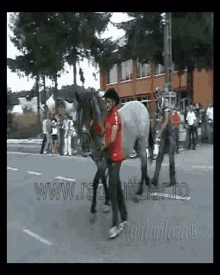 Golpes Knock Out GIF - Golpes Knock Out Horse GIFs