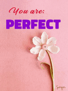 You Are Perfect Flower GIF - You Are Perfect Flower Perfect GIFs