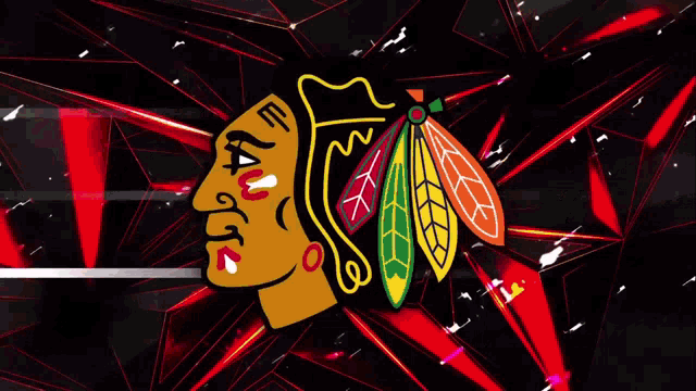 Chicago Blackhawks, nhl, HD phone wallpaper | Peakpx