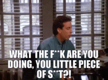 Seinfeld What The F Are You Doing GIF - Seinfeld What The F Are You Doing You Little Piece Of S GIFs
