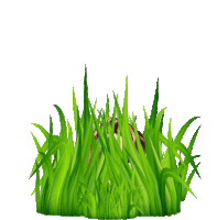 Grass GIFs | Tenor