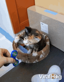 Kitten Playing A Fidget Spinner Viralhog GIF - Kitten Playing A Fidget Spinner Viralhog Spinning GIFs
