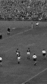 a group of people are playing soccer on a field with a goalie in the background