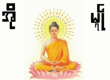 Love Mon Buddha Buddha GIF - Love Mon Buddha Buddha GIFs