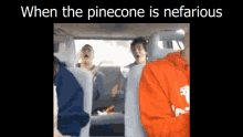 Nefarious Pinecone GIF