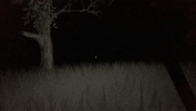 a picture of a skull with the letter f in the corner