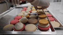 a tray of macarons with the words made in animatica on the bottom