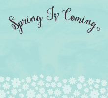Springtime Itsspring GIF - Springtime Itsspring GIFs