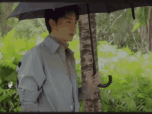 Zhangxinyao Umbrella GIF
