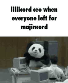 Majincord Lillicord GIF - Majincord Lillicord Discord GIFs