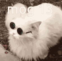 Mog Mog12 GIF - Mog Mog12 Gog GIFs