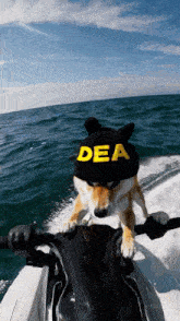 a dog wearing a dea hat is riding a jet ski in the ocean