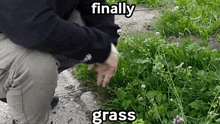 Finallygrass Grass47 GIF - Finallygrass Grass Grass47 GIFs