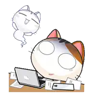 a cat is sitting at a desk with a laptop and papers