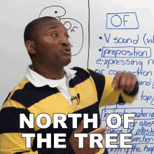 north of the tree james engvid direction northern part
