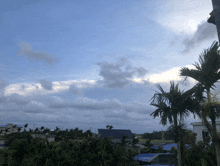a cloudy sky with palm trees in the foreground and a blue roof in the background