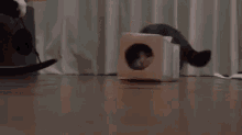 Bye Cat GIF - Bye Cat Box GIFs