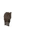 a close up of a cat 's face looking at the camera .