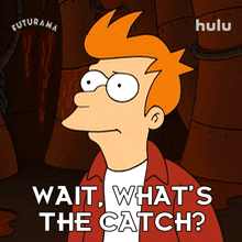 wait whats the catch philip j fry futurama is there a catch whats the downside