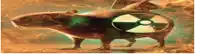 a cartoon rat with a radioactive symbol on its back is walking through a fire .
