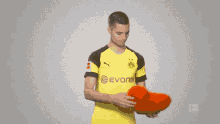 Bvb Dortmund GIF