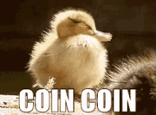 Coin Coin GIF - Coin Coin GIFs