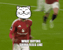 a cartoon of a soccer player with a cat head and the words what buying shiro feels like