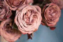 Roses Github GIF - Roses Github Trend GIFs