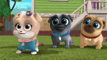 three pugs are standing in front of a house with a ladybug on their head