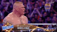 Brocklesnar Brock GIF - Brocklesnar Brock Lesnar GIFs