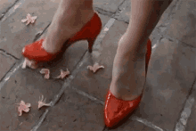 Shoe Red Shoe GIF - Shoe Red Shoe Red Heels GIFs