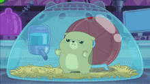 a hamster is in a glass cage with a water dispenser