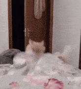 Blanket Cat Funny GIF