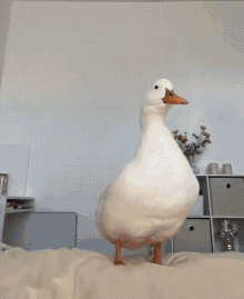 Goose Meal GIF - Goose Meal Cooking GIFs