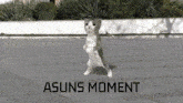 Asuns Moment Epic GIF - Asuns Moment Asuns Moment GIFs