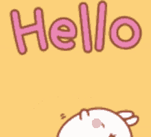 Hello Hi GIF - Hello Hi Bunny GIFs