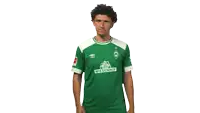 a man is wearing a green shirt with the word weisenhof on it