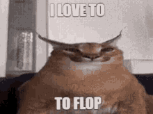 Floppa Flop GIF - Floppa Flop Flopping GIFs